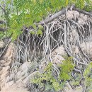 마음의 고향 이미지