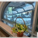 쉴만한 물가12 이미지