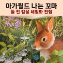 지금 시작하는 나만의 수채화 | 아가월드 나는 꼬마 전집 후기, 돌 전 아기부터 5세까지 활용하는 세밀화 자연관찰 (내돈내산)