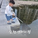 신천도서관 | 아이와 대구 신천 물고기잡이, 도심 속 무료 자연 체험