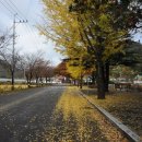 고령예마을 이미지