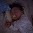 (주)나이스토탈 | 2026. 02. 25 (수) _ 빡세지만 행복하고, 기뻐! (65개월/40개월/141d)