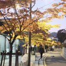 서울쥬얼리