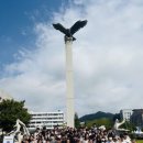 1318 이미지