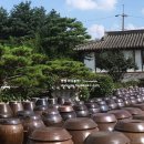 서일매점 티스토리