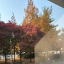 까치울역 5번출구 이미지