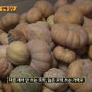 옥수찐빵·만두 이미지