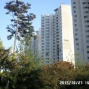 동탄공원로 이미지