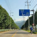 와초리 은행나무 이미지