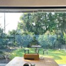 무라소원 이미지