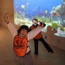 점프스타태권줄넘기 이미지