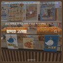 유명휴게소 | 평택호휴게소 고래빵 내돈내산 후기! 펫파크까지 있는 휴게소 추천 [내돈내산]