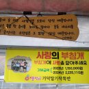 강농장 | 청주 딸기 따기 수확 체험 농장 강반장 방문 후기