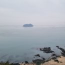 무저도 | 진도 쏠비치 주변을 산책하며 쏠비치전용 신비의 바닷길을 걷다