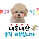 어미밥집 이미지