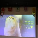 그루밍캐터리 | [브리티쉬숏헤어] 14-15th TICA-TKBS CAT SHOW 티카캣쇼 후기🏆