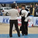 2010 대전 우송정보대학교 KKF FCI 도그쇼 [ 전 견 종 ] 이미지