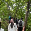 메디위드 이미지