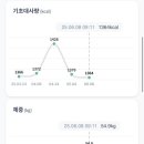 유방6통 | 무월경으로 크리멘 복용 6개월 후기_드디어 단약