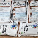 제일농약사2 이미지