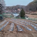 새봄농장(3) 이미지