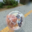 다이브위시제주 | 2025.07