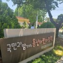 용산어린이집 - 장흥군 | 애플하우스 오픈런/용산 어린이 정원/카페 어울림/오설록 티하우스 용산파크점 후기
