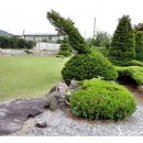 보은부동산공인중개사사무소 이미지