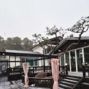 토리샘 | [경기/여주] 핀란드 사우나를 체험할 수 있는 여주 '토리샘 빌리지' 감성 숙박 후기