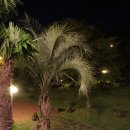 꽃머채 민박 이미지