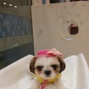 마린시티 종합동물병원 이미지