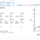 리신의 이온화 및 적정곡선 이미지