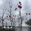 전주현대옥(광양점) | 전남 l 즉흥으로 떠났던 순천,여수,광양 봄여행