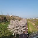 013-운정1-013 이미지