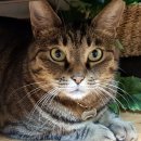 연광초등 이미지