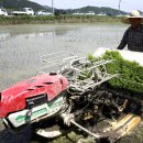 협동농장 이미지