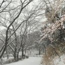안산공원 이미지