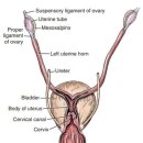 위례S동물의료센터 이미지