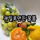 꿀봄 이미지