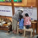 국립수목원 산림박물관 이미지