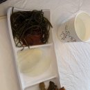 해양공원 해물삼합거리 | 여수 밤바다와 돌문어 해물삼합의 찐조합! 낭만포차 23번 미스터삼합왕 후기