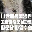 나만 애 동물병원 이미지