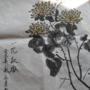 사군자 국화 이미지