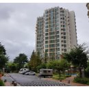 애니팜약국 이미지