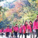 함께하는 동행 이미지