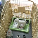 바우스토리 이미지