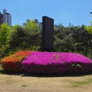 봄봄여행사 | 춘천역가볼만한곳 추천 감성부터 자연 풍경까지 모두 즐긴 춘천 여행 코스