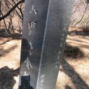 푸른솔실비 | ﻿﻿﻿﻿운초김부용의 묘﻿