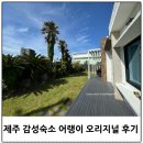 퐁낭하우스 민박 | 솔직후기, 제주 감성숙소 어랭이숙소차이