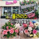 어양3차오투그란 | 익산 부송동 꽃집 폴라리스 - 어버이날 카네이션 꽃바구니 추천